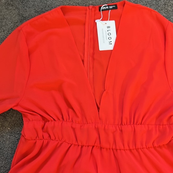 NWT Rich Shade of Red Bloom Chic Dress - Picture 3 of 6